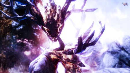 Друид скайрим