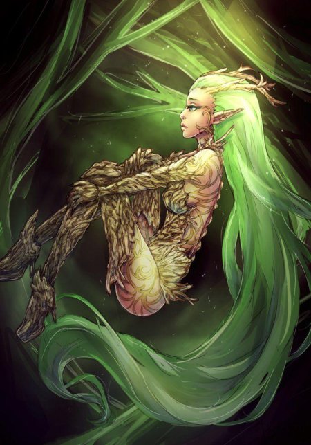 Дриада дерево