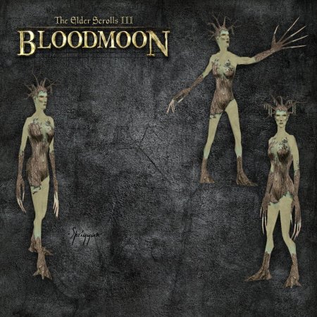The elder scrolls bloodmoon