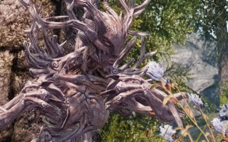 Спригган скайрим