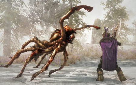 Морозный паук скайрим