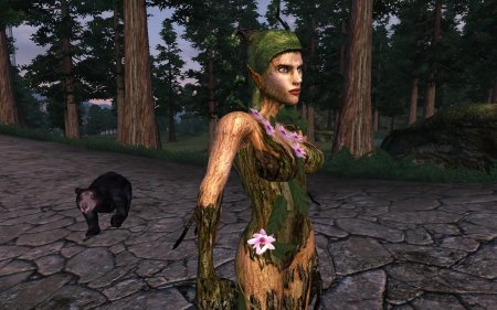 Спригган обливиона