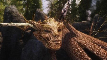 The elder scrolls спригган
