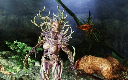 Спригган скайрим