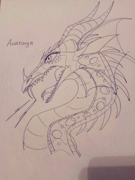 Королева анаконда драконья сага