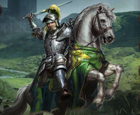 Рыцари средневековья паладин