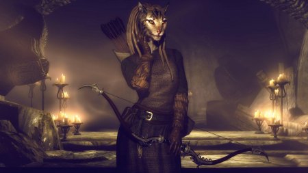 Компаньонка эрика каджит