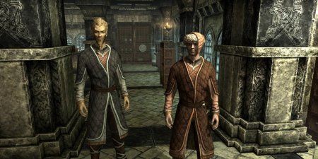 The elder scrolls коллегия бардов