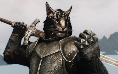 Каджит карджо