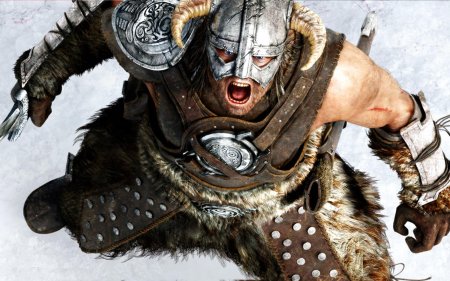 Скайрим довакин