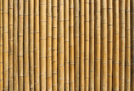 Бамбук фон