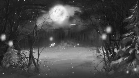 Зимний лес ночь