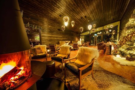 Arctic treehouse hotel финляндия