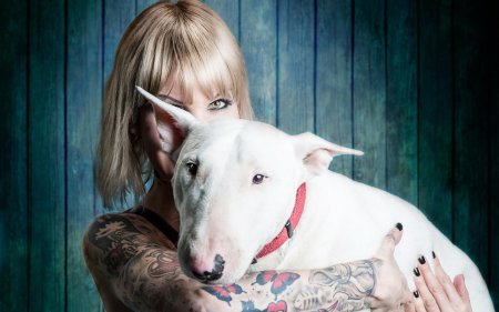 Девушка с бультерьером