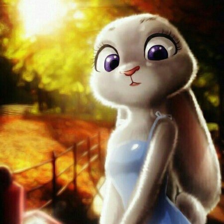 Кролик джуди