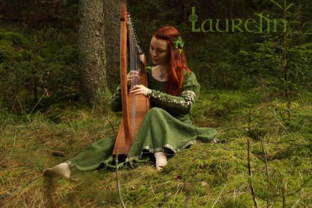 Ирландская кельтская арфа