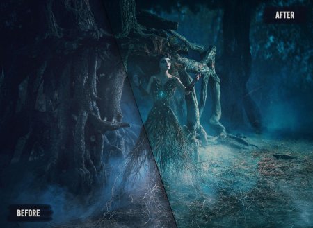 Кабинет редкостей гильермо дель тор