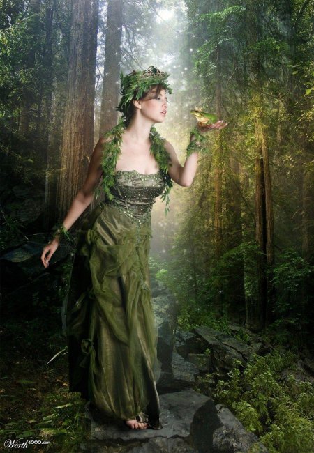 Нимфа лесная