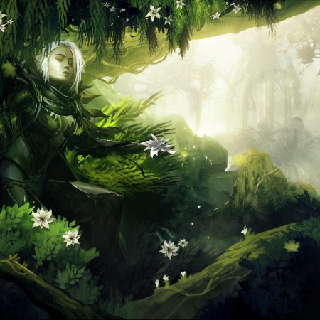 Эльфы в лесу