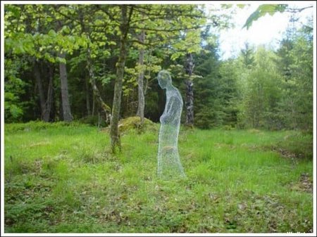 Призрак в лесу