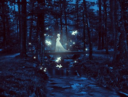 В лесу ночью