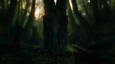 Дремучий лес арт темный