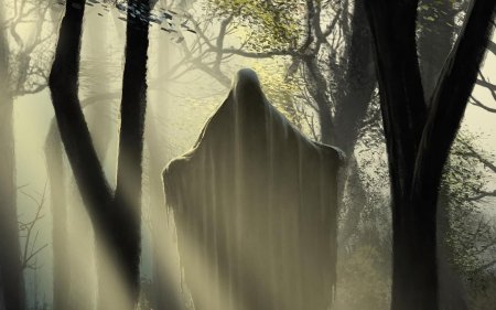 Призрак в лесу