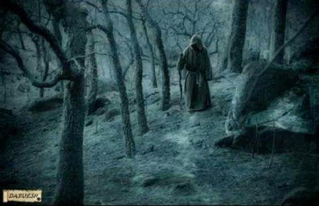 Монах в лесу