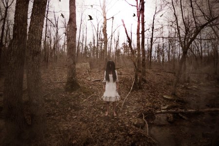 Призрак в лесу