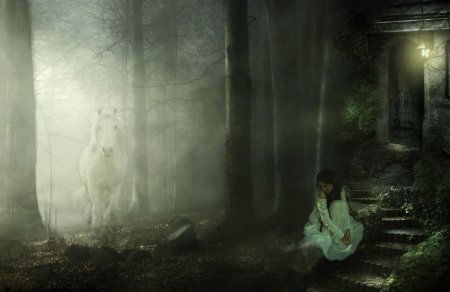 Призрак в лесу