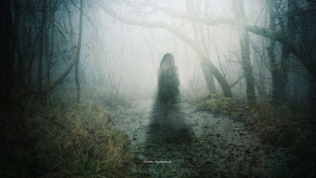 Человек в темном лесу