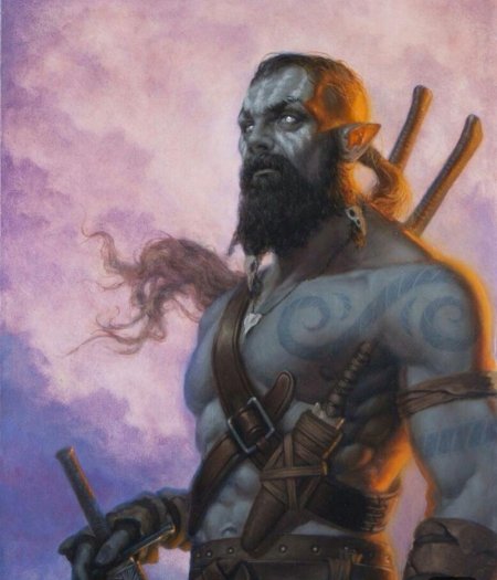 Полуорк монах днд