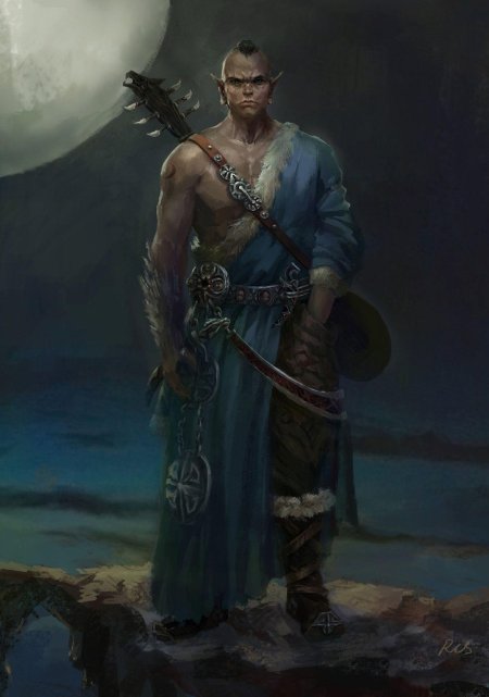 Полуорк бард