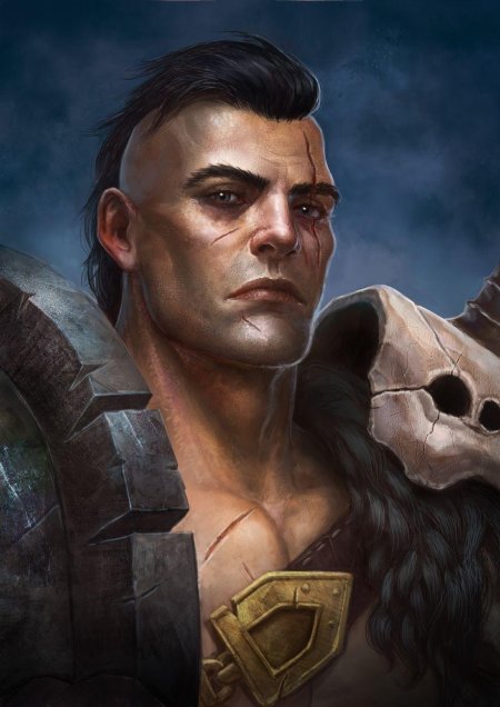 Полуорк полуэльф