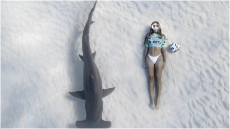 Плавание с акулами