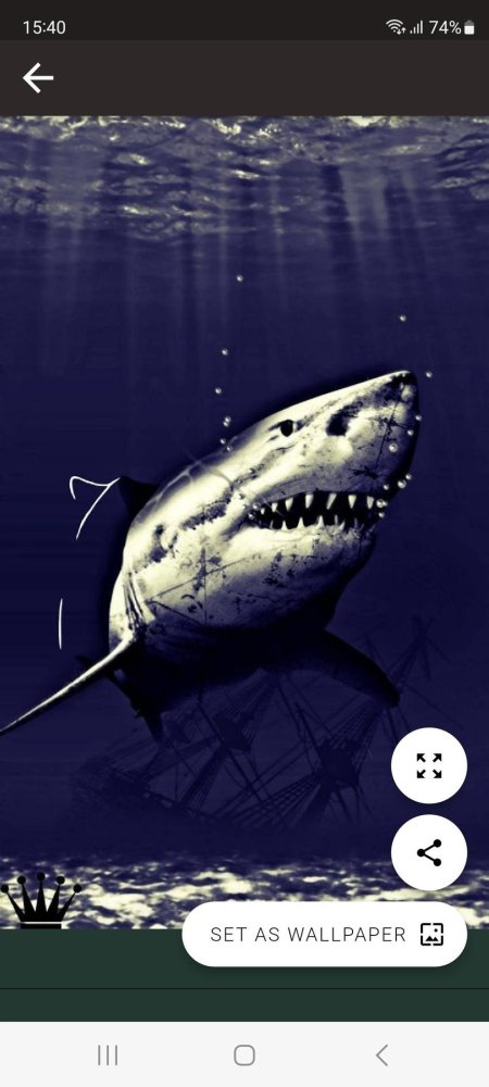 Акула мегалодон