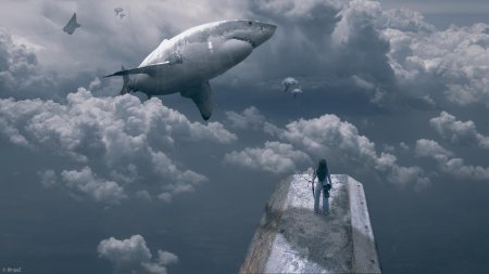 Carcharodon carcharias