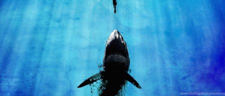 Заставка на рабочий стол акула