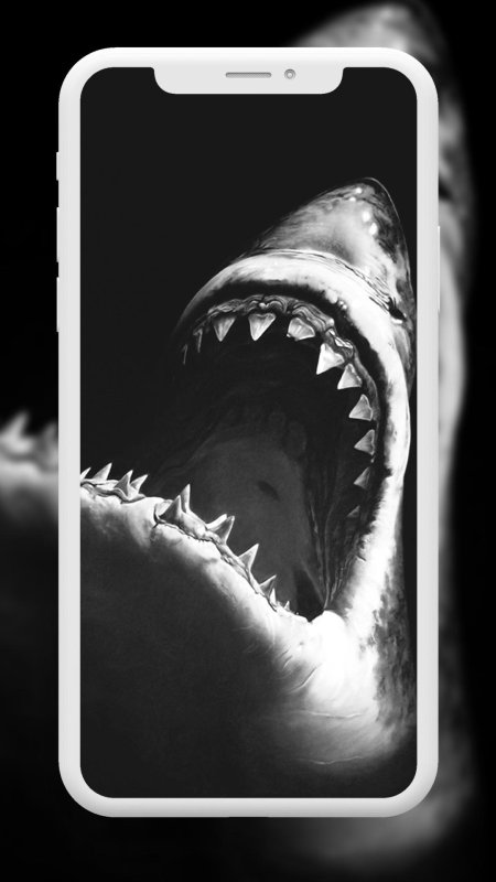 Пасть акулы