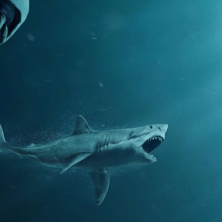 Мег монстр глубины мегалодон