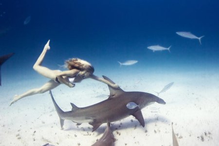 Девушка плавает с акулами