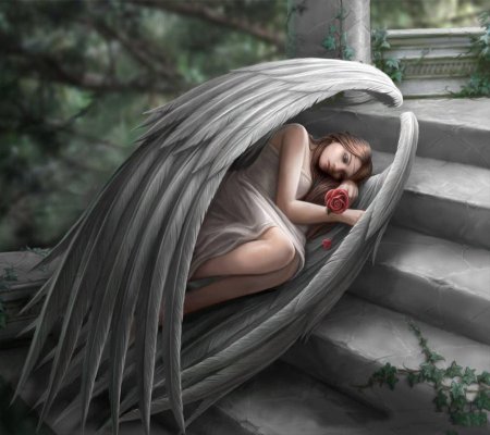 Ангел укрывает крыльями