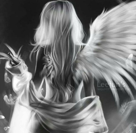 Однокрылый ангел