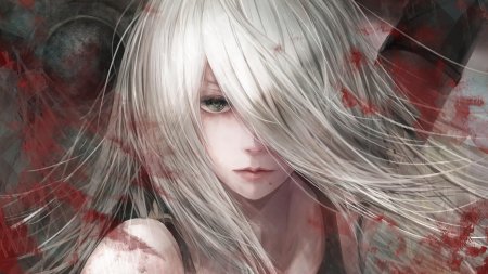 A2 nier