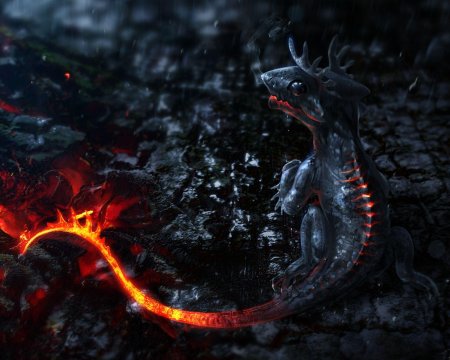 Огненные драконы