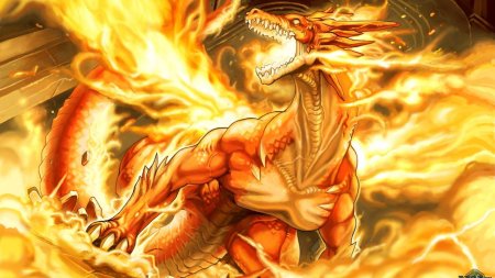 Дракон в огне