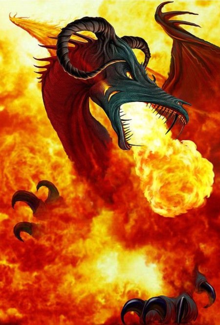 Аркат дракон огня