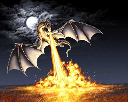 Огненные драконы