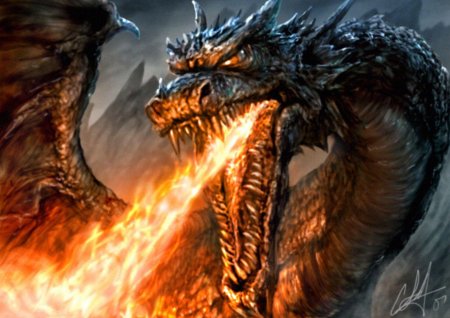 Огненные драконы