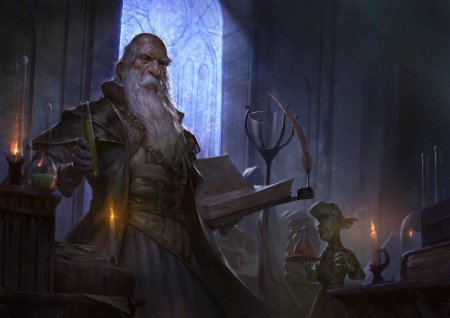 Alchemist wizard алхимик